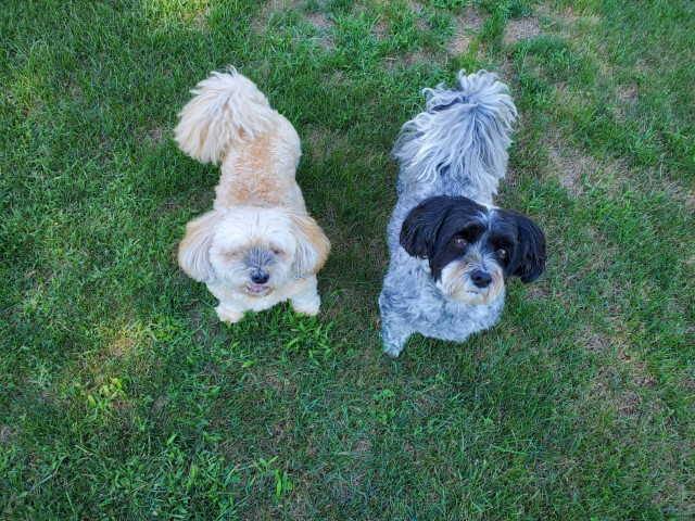 Maddie & Tucker